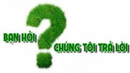Hoạt động đào tạo không chịu thuế GTGT được quy định như thế nào?